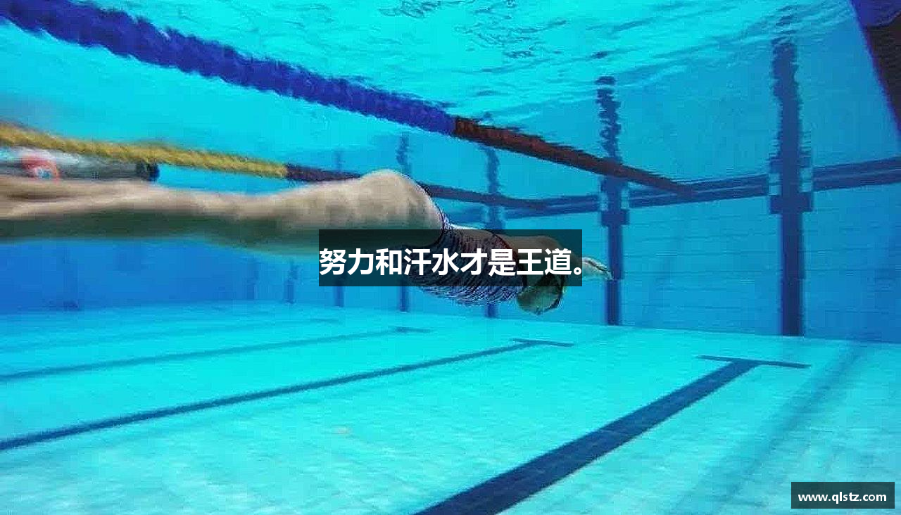 努力和汗水才是王道。